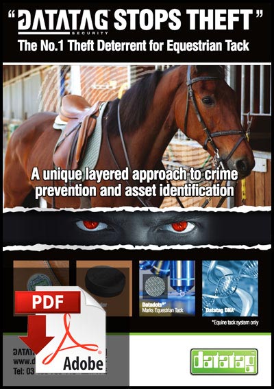 Datatag Equine Flyer